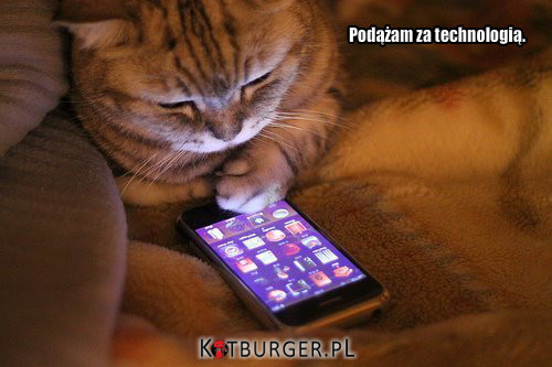 Technologiczny kot –  