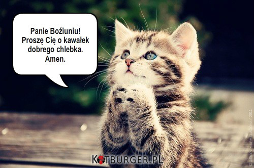 Modlitwa Kotka –  