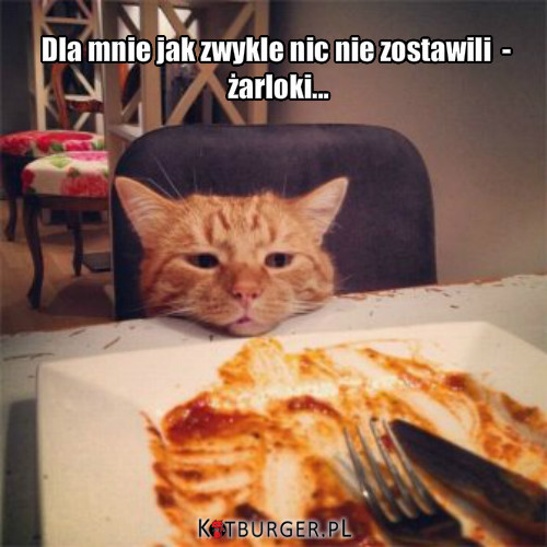 Głodny kotek –  
