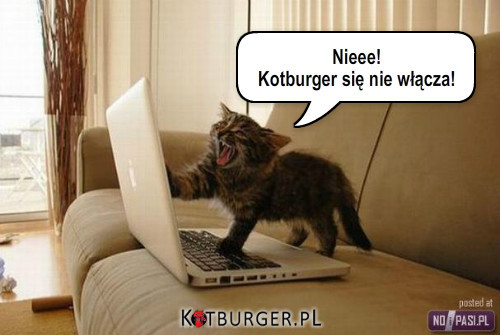 Kotburger –  