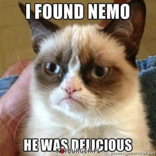 Znalazłem Nemo, był przepyszny –  