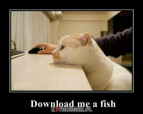 Ściągnij mi rybe –  
