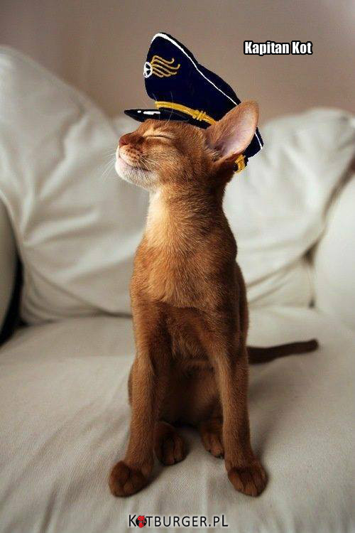 Kapitan Kot –  