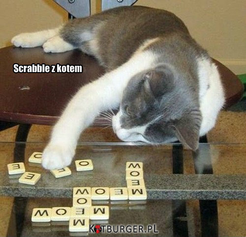 Scrabble z kotem –  
