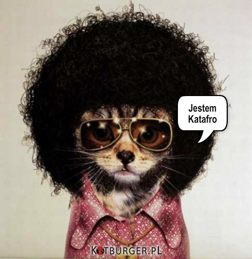 Katafro ( Cat Afro ) –  