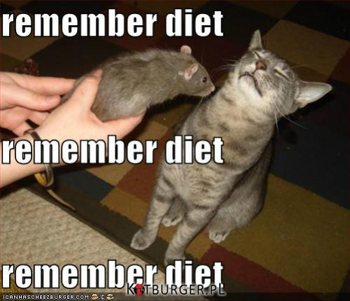 Muszę pamiętać o diecie... –  