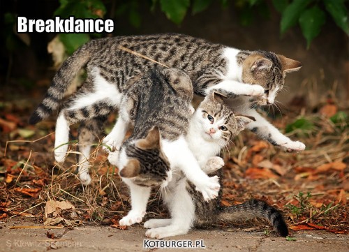 Breakdance – Breakdance 