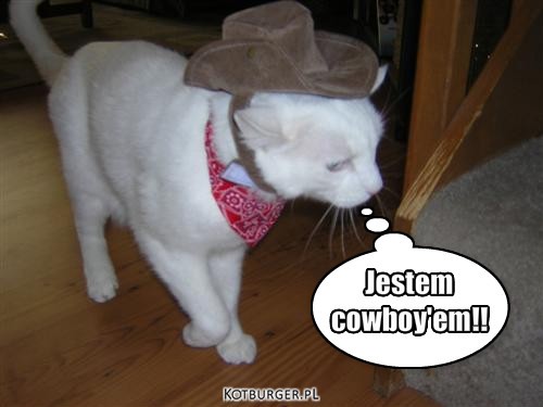 I'm cowboy!!! – Jestem 
cowboy'em!! 