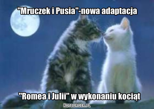 Romeo i Julia – "Mruczek i Pusia"-nowa adaptacja "Romea i Julii" w wykonaniu kociąt 