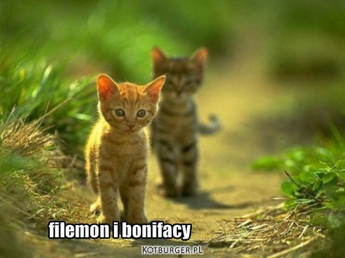 Filemon i bonifacy – filemon i bonifacy 