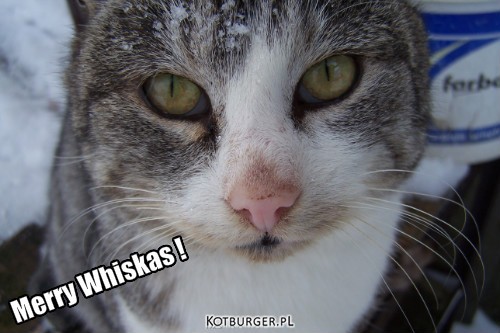 Merry Whiskas ! – Merry Whiskas ! 