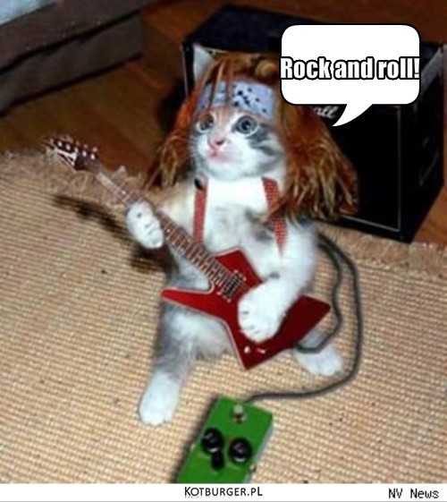 Rock and roll! – Rock and roll! 
