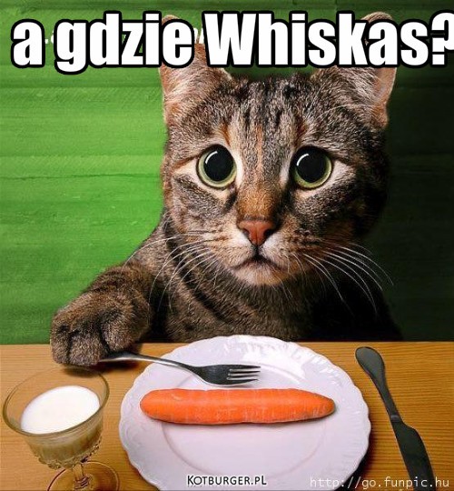 A gdzie Whiskas? – a gdzie Whiskas? 