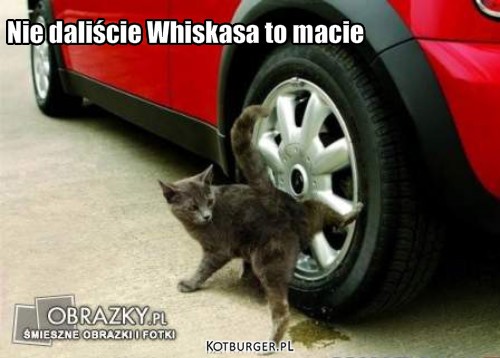 Nie daliście Whiskasa to macie – Nie daliście Whiskasa to macie 