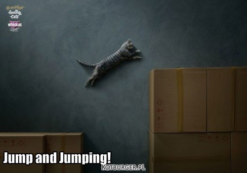 Jump and Jumping! – Jump and Jumping! 
