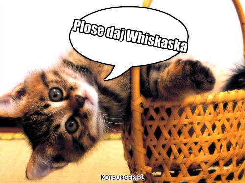 Plose daj Whiskaska – Plose daj Whiskaska 
