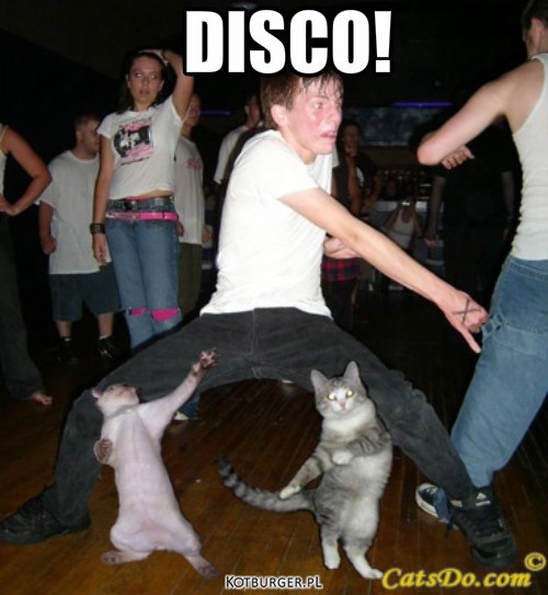 Disco – DISCO! 