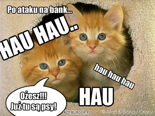 Atak na bank – Po ataku na bank... Ożesz!!!
Już tu są psy! hau hau hau HAU HAU.. HAU 