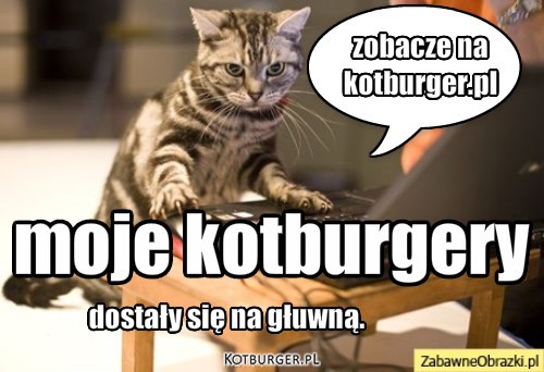  ... – moje kotburgery dostały się na głuwną. zobacze na
kotburger.pl 