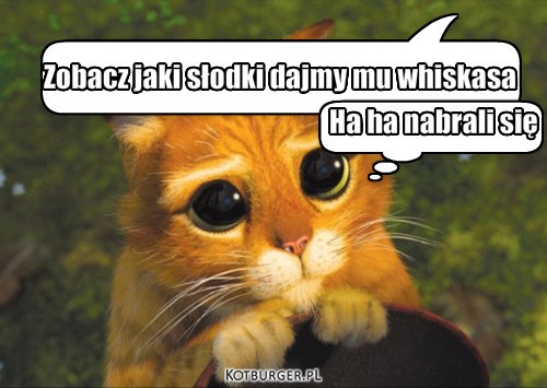 Dajmy mu whiskasa – Zobacz jaki słodki dajmy mu whiskasa Ha ha nabrali się 