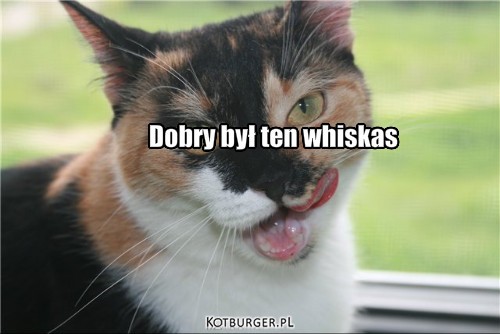  ... – MMM dobry był ten whiskas Dobry był ten whiskas 
