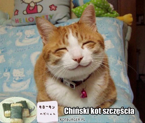 Chiński kot szczęścia – Chiński kot szczęścia 