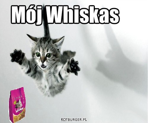 Whiskas – Mój Whiskas 