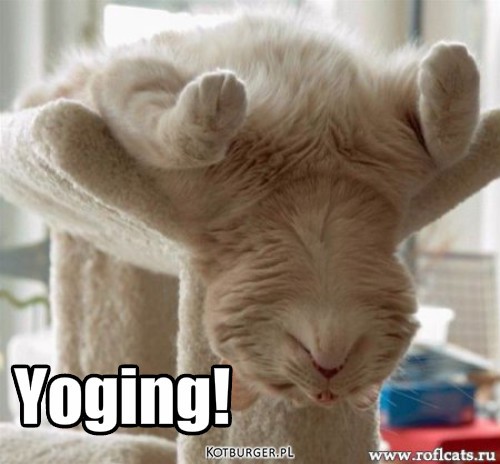 Yoging! – Yoging! 