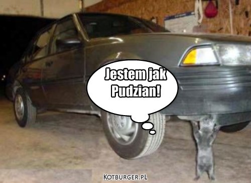 Kot Pudziana – Jestem jak
Pudzian! 