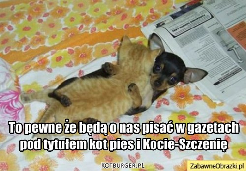 Kotipies – To pewne że będą o nas pisać w gazetach
pod tytułem kot pies i Kocie-Szczenię 