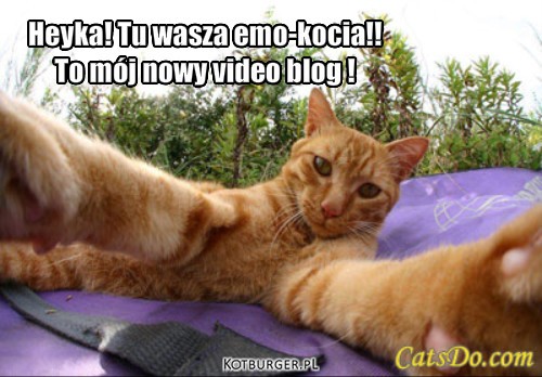  ... – Heyka! Tu wasza emo-kocia!! 
To mój nowy video blog ! 