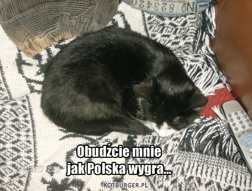 Kot – Obudźcie mnie
jak Polska wygra... 