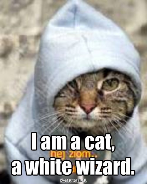 I' am... – I am a cat, 
a white wizard. 