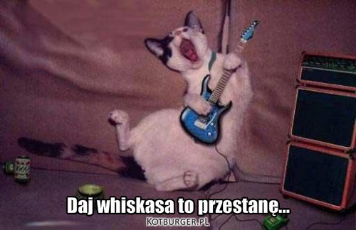 Daj Whiskasa... – Daj whiskasa to przestanę... 