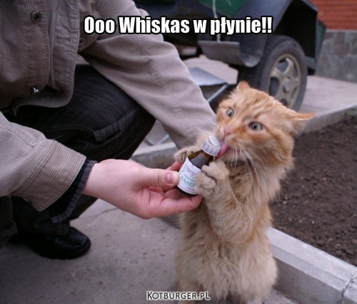 Whiskas – Ooo Whiskas w płynie!! 