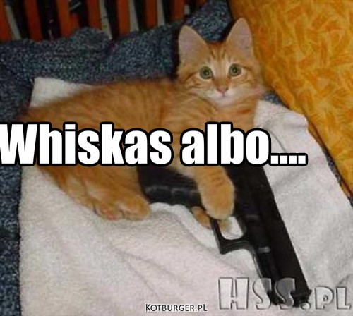 Zabójca – Whiskas albo.... 