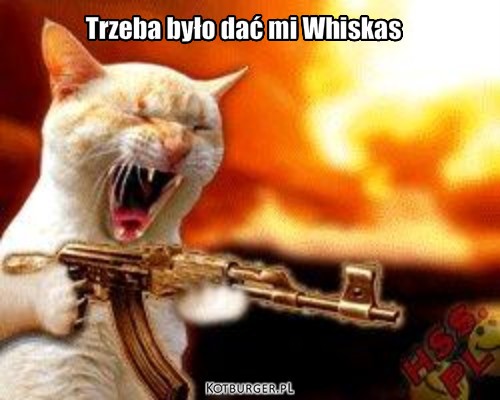 Whiskas – Trzeba było dać mi Whiskas 