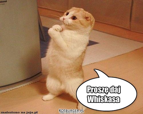 Prosze – Proszę daj 
Whiskasa 