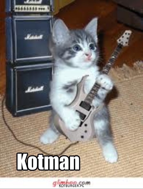 Rockman – Kotman 