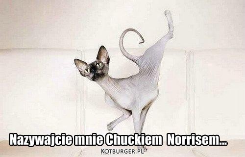 Chuck Norris – Nazywam sie Norris,Chuck Norris Nazywajcie mnie Chuckiem  Norrisem... 