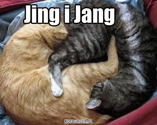 Jing i jang – Jing i Jang 