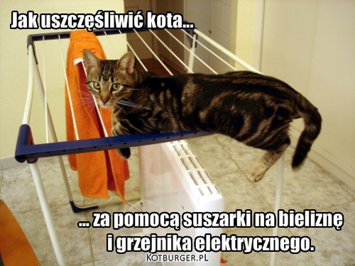 Podgrzewacz dla kota – Jak uszczęśliwić kota... ... za pomocą suszarki na bieliznę
i grzejnika elektrycznego. 