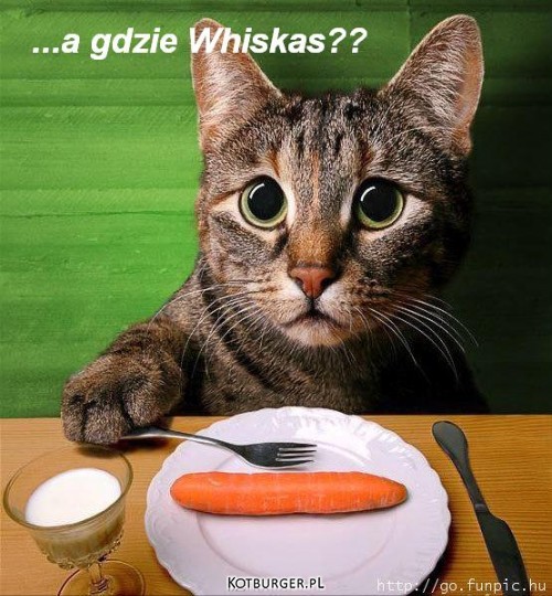 Whiskas 2  –  