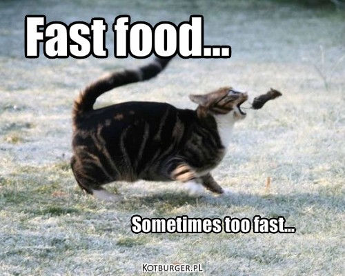 :D – Fast food... Sometimes too fast... 
