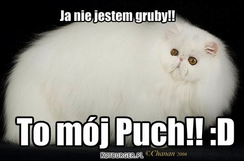 PUch – To mój Puch!! :D Ja nie jestem gruby!! 