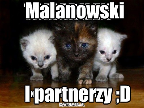 :D – Malanowski I partnerzy ;D 