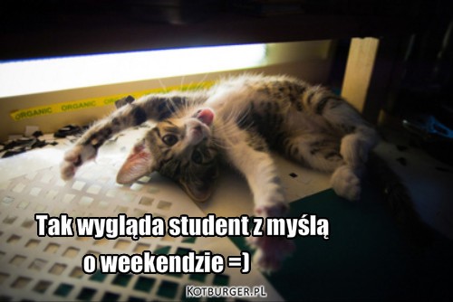  ... – Tak wygląda student z myślą o weekendzie =) 