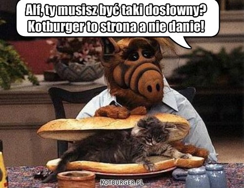 Kotburger – Alf, ty musisz być taki dosłowny?
Kotburger to strona a nie danie! 