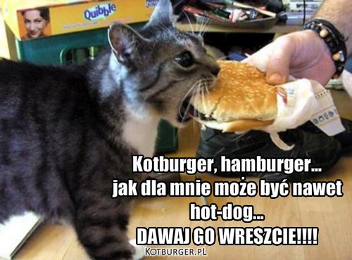 . – Kotburger, hamburger...
jak dla mnie może być nawet
hot-dog...
DAWAJ GO WRESZCIE!!!! 