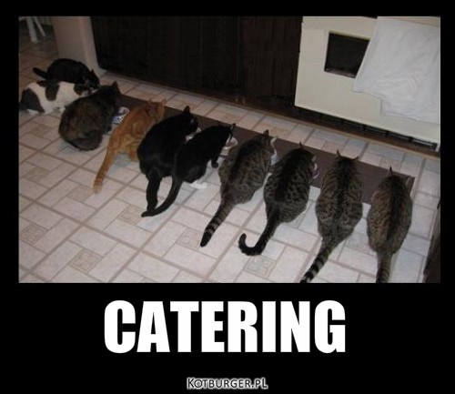 Katering – CATERING 